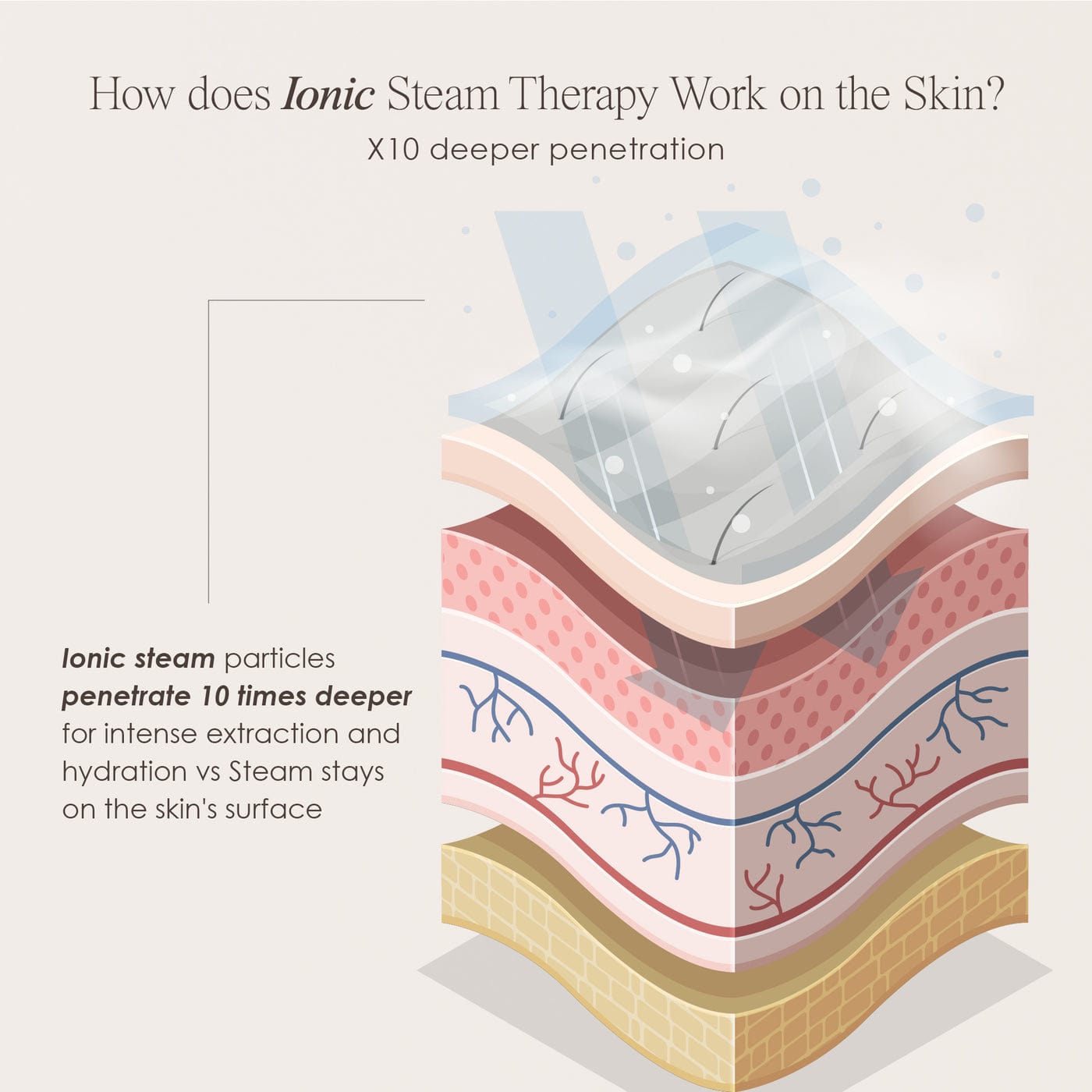 Project E Beauty Skin Care Sensa | Nano Ionic Facial Steamer