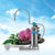 Kangen Water Wellness Anespa DX