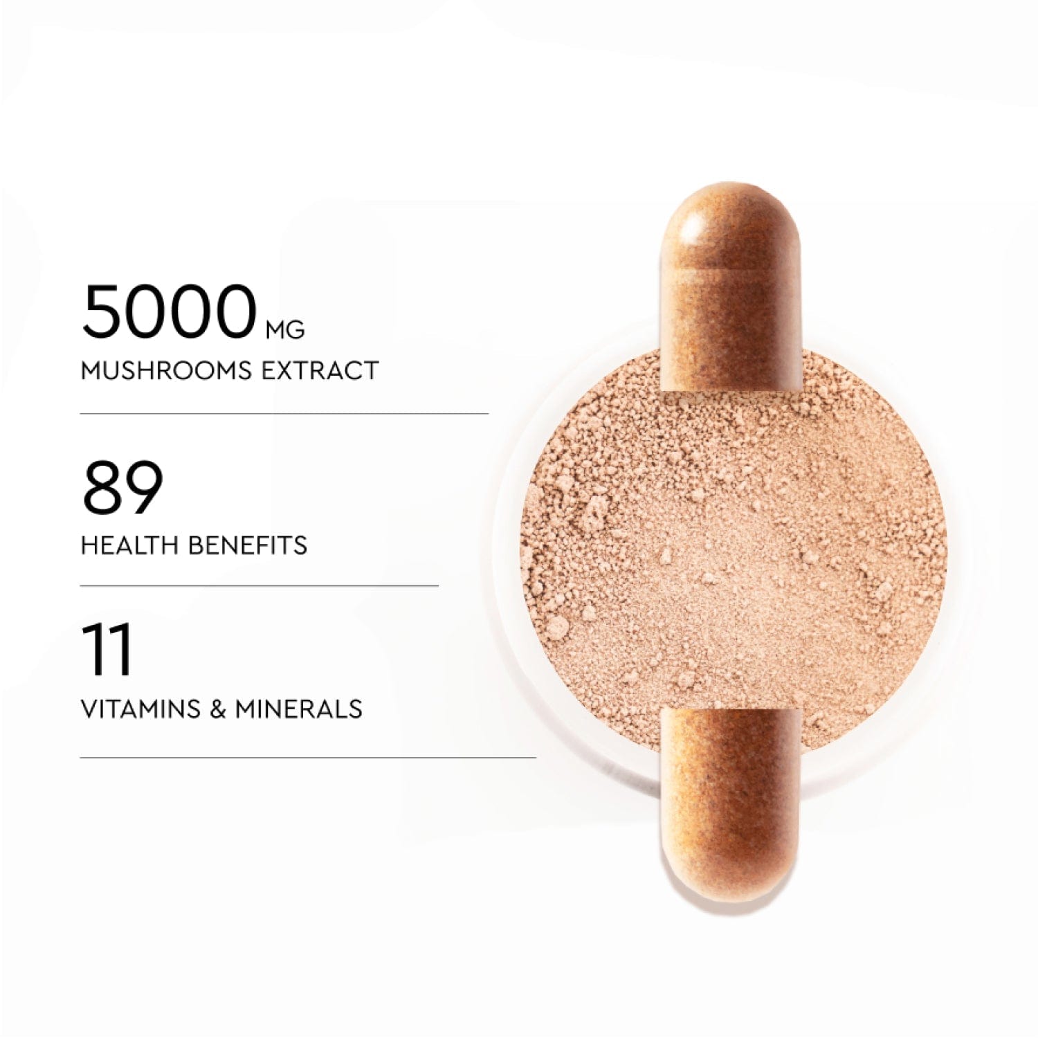 Reverie Luxe Body Mushroom Complex – natural supplement with reishi, chaga & lion’s mane to support immunity, energy & focus. Balance your body naturally.