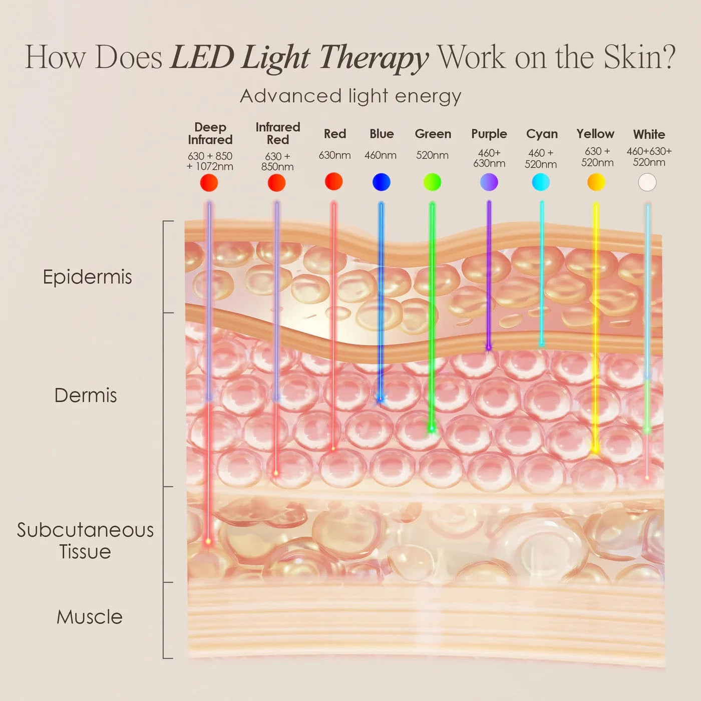 Project E Beauty Skin Care LumaLux Face | Pro LED Light Therapy Mask