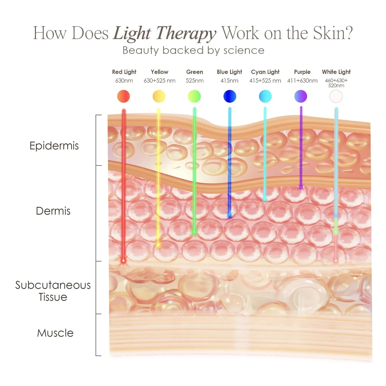 Project E Beauty Skin Care Lumamask 7 | LED Light Therapy Face Mask