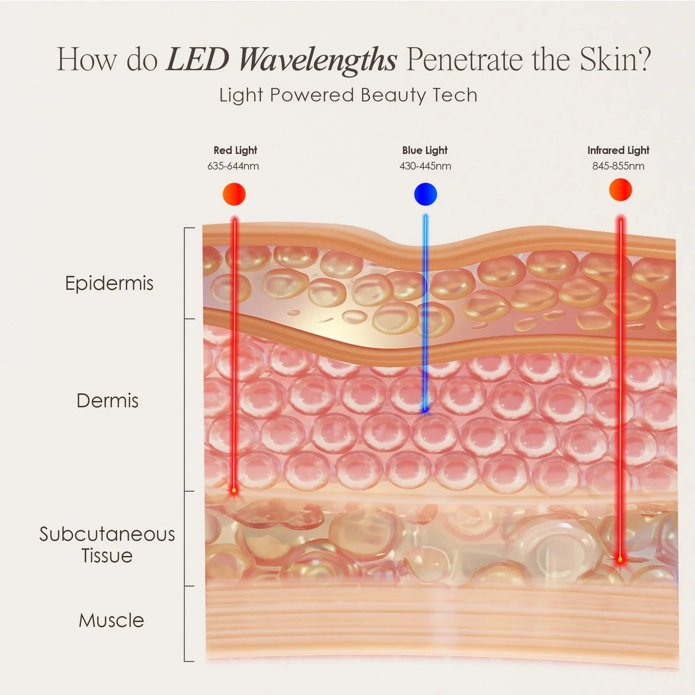 Project E Beauty Skin Care Lumamask Pro | LED Light Therapy Face Mask