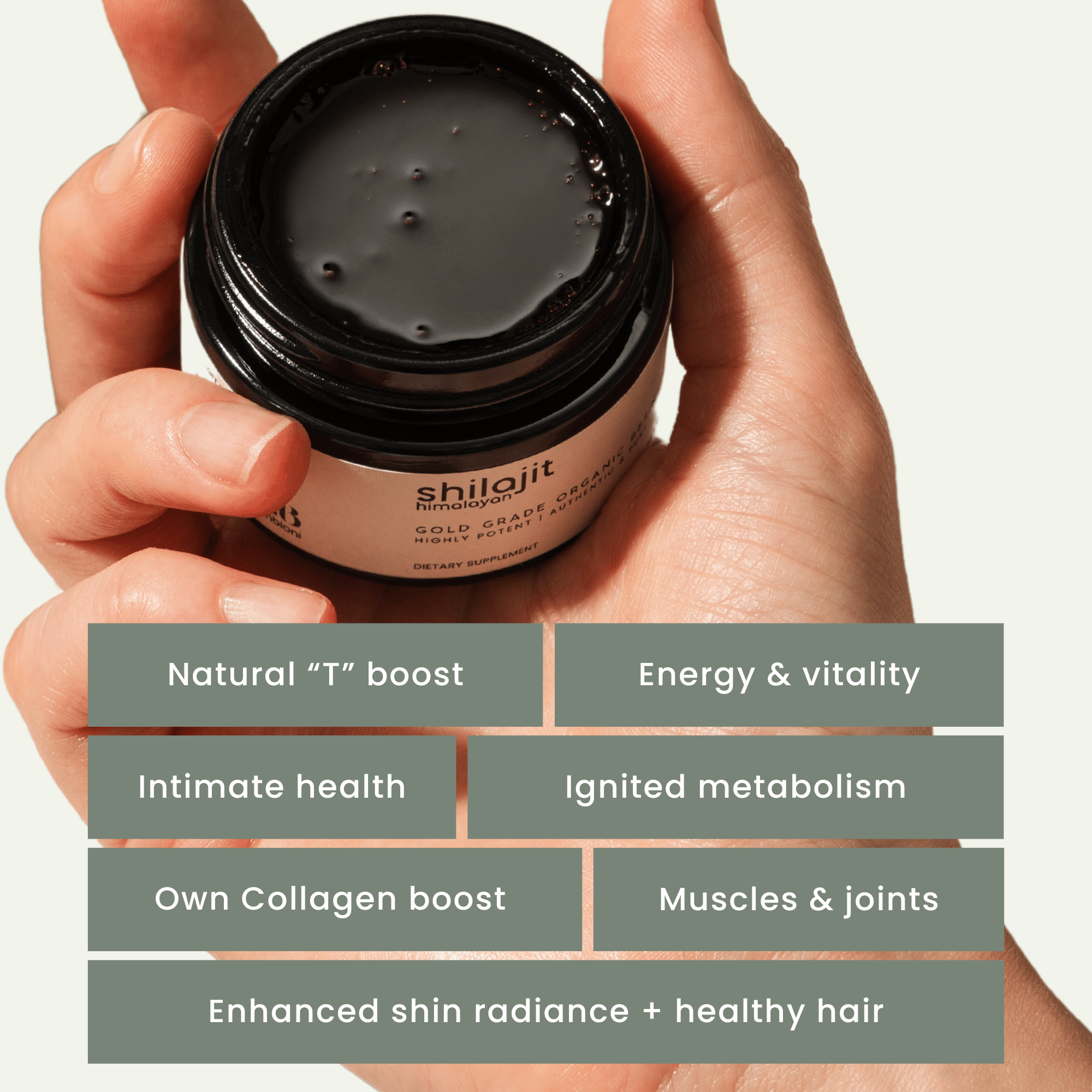Zenbioni Himalayan Shilajit Resin